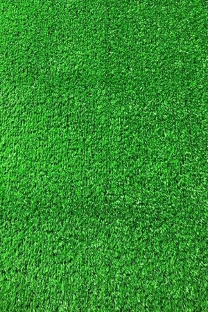 Thảm cỏ nhân tạo sân vườn cao 10mm loại CK-C1C48 HMO