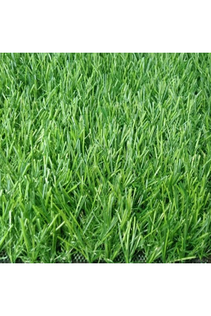 Thảm cỏ nhân tạo sân vườn cao 20mm loại CK-C2C55 HMO