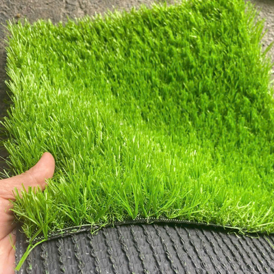 Thảm cỏ nhân tạo sân vườn cao 20mm loại PN-L20 HNM