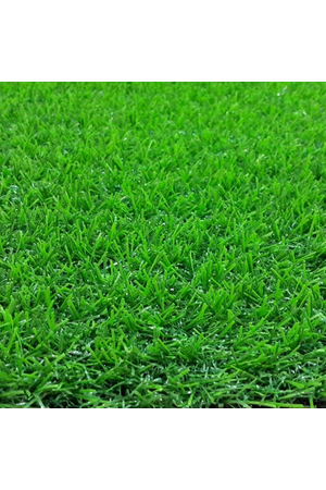 Thảm cỏ nhân tạo sân vườn cao 30mm loại CK-C3C5 HMO