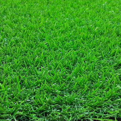 Thảm cỏ nhân tạo sân vườn cao 30mm loại CK-C3C5 HMO