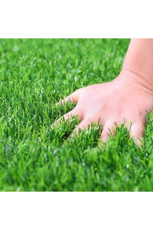 Thảm cỏ nhân tạo sân vườn cao 40mm loại PN-LG40 HNM
