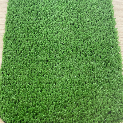 Thảm cỏ nhân tạo sân vườn dán tường dày 10mm loại PN-CZ10 HNM