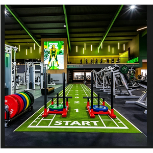 Thảm Cỏ phòng Gym