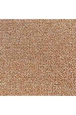 Thảm cuộn màu trơn sợi Polypropylene DELTA