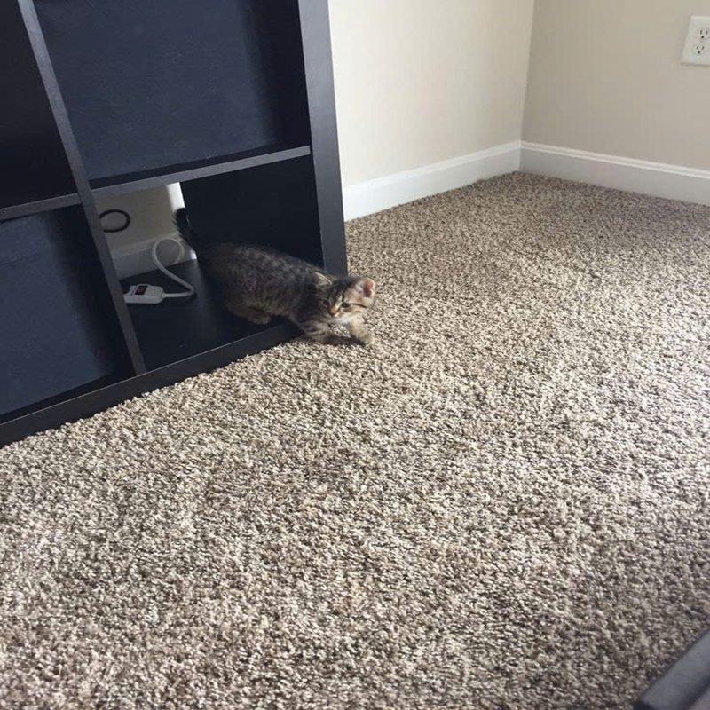 Thảm cuộn sợi thẳng dày 10mm GM-RAINBOWNPT HNM