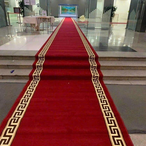 Thảm đường dẫn DS002