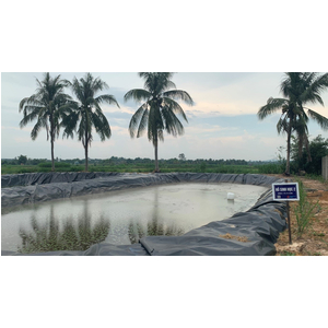 Tham luận công nghệ tiên tiến xử lý chất thải trong chăn nuôi phục vụ nông nghiệp tuần hoàn.