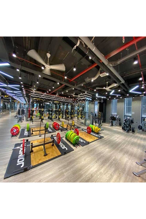 Thảm Vinyl phòng gym và fitness dày 6mm MA-SF6 HMO