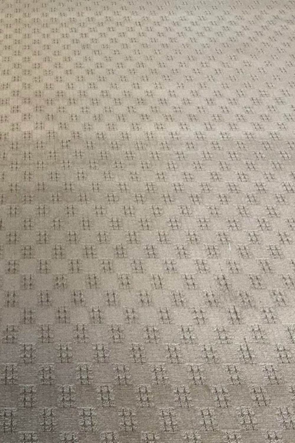 Thảm trải sàn cuộn hoạ tiết sợi vòng Polypropylene HCO-LOTUSMS HNO