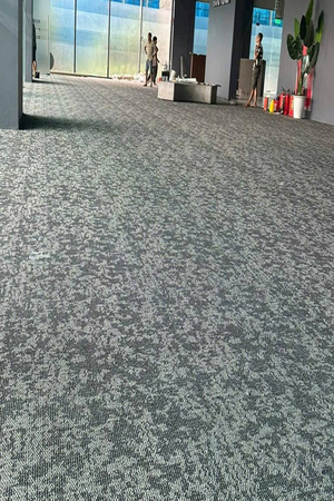Thảm trải sàn cuộn hoạ tiết sợi vòng Polypropylene TLO-BET HNO