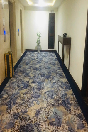 Thảm trải sàn cuộn hoa văn sợi nylon cao cấp DV-LUXURY DV007 HMV