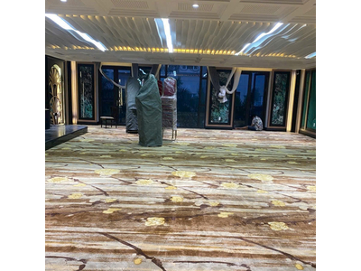 Thảm trải sàn cuộn hoa văn sợi nylon cao cấp DV-LUXURY DV029 HNO