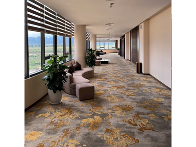 Thảm trải sàn cuộn hoa văn sợi nylon cao cấp DV-LUXURY DV038 HNO