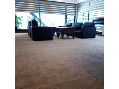 Thảm trải sàn cuộn lông xù màu trơn cao cấp sợi thẳng Cut Pile dày 10mm HCO-G10 HNM