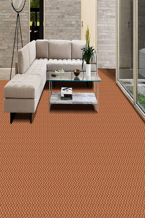 Thảm trải sàn cuộn hoa văn thông dụng sợi polypropylene cấu trúc loop pile TTR-BKN HNO
