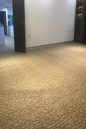 Thảm trải sàn hoa văn cuộn TT-DUKPRG HNO