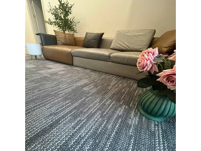 Thảm trải sàn tấm cao cấp KT 50cmx50cm TLO-SANATITAN 02 HNO