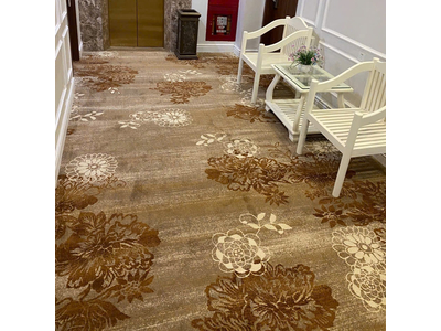 Thảm trải sàn cuộn hoa văn sợi nylon cao cấp DV-LUXURY DV02 HNO