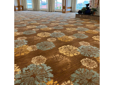 Thảm trải sàn cuộn hoa văn sợi nylon cao cấp DV-LUXURY DV031 HNO