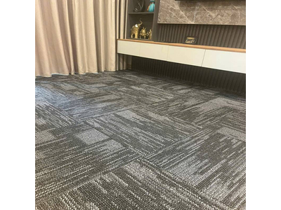 Thảm trải sàn tấm cao cấp KT 50cmx50cm TLO-SANATITAN 04 HNO