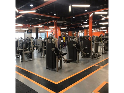 Thảm Vinyl chuyên dụng cho phòng Gym - Fitness