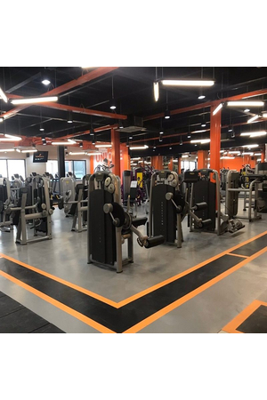 Thảm Vinyl chuyên dụng cho phòng Gym - Fitness VTHP-SINO HNO