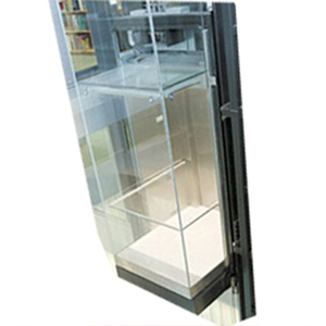 Thang máy lồng kính TT-K02