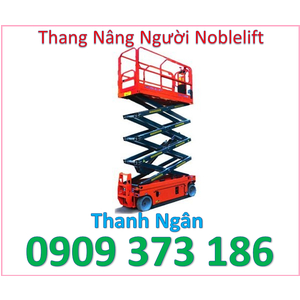 THANG NÂNG ĐIỆN NÂNG NGƯỜI 320 KG/ CAO 12M NOBLELIFT