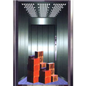 Thang máy tải hàng TTF-005