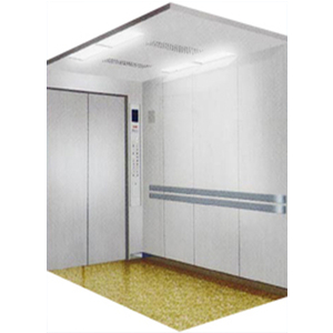 Thang tải hàng TTF-007 ( Các vách + cánh Cửa: Tole dầy 1,5mm - sơn tĩnh điện )
