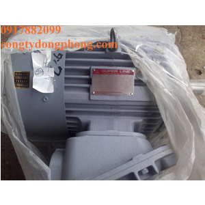 Động cơ điện Super Line