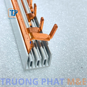 Thanh lược đồng 2 pha 100a