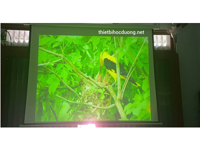 Máy Chiếu Cũ SONY VPL-EX246