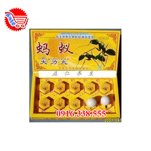 Kiến Càng Đen Tây tạng -thảo dược tự nhiên ma yi da li wan