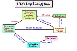 Thay thế-hạn chế kháng sinh