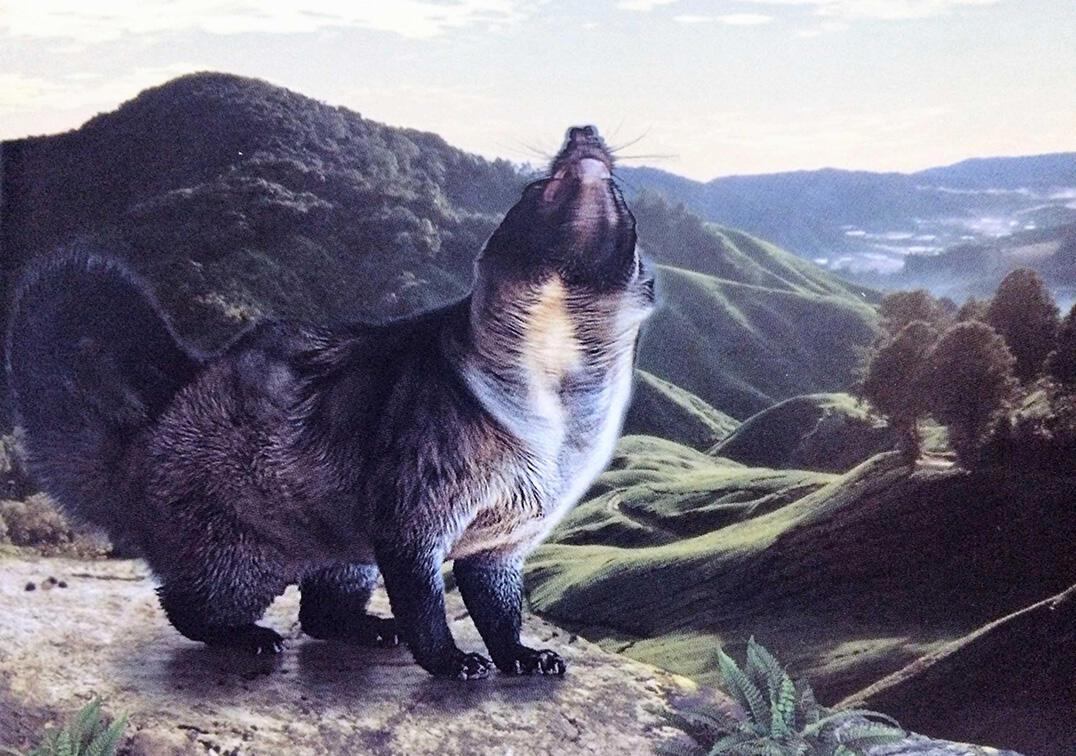 Weasel Coffee VietNam