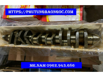 TRỤC CƠ ( TRỤC KHUỶU ) HOWO WD615