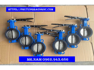 LÕI VAN KHÓA XI, VAN KHÓA XI DN 100, DN 125 NHẬP KHẨU TỐT NHẤT THỊ TRƯỜNG