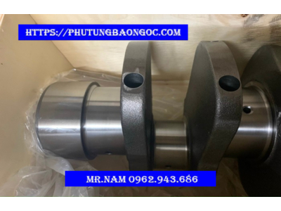 TRỤC CƠ ( TRỤC KHUỶU ) HOWO WD615