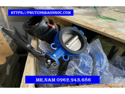 LÕI VAN KHÓA XI, VAN KHÓA XI DN 100, DN 125 NHẬP KHẨU TỐT NHẤT THỊ TRƯỜNG