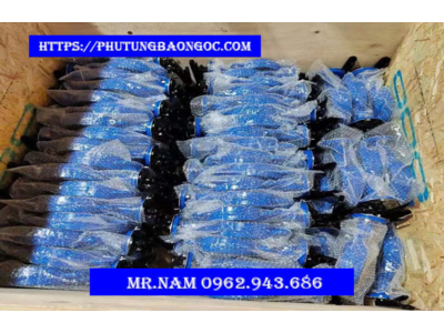 LÕI VAN KHÓA XI, VAN KHÓA XI DN 100, DN 125 NHẬP KHẨU TỐT NHẤT THỊ TRƯỜNG