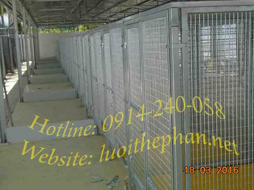 Thi công chuồng lưới thép trại huấn luyện chó