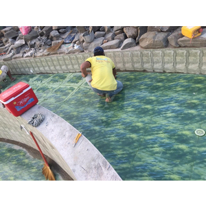 Thi công gạch 3d hồ bơi phan thiết