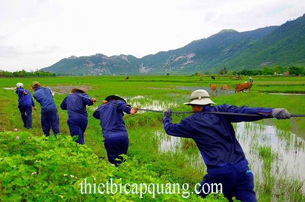 Thi công kéo cáp quang tuyến trục