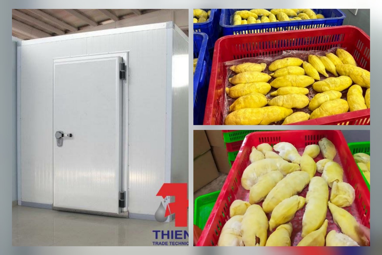 THI CÔNG LẮP ĐẶT HỆ THỐNG KHO CẤP ĐÔNG SẦU RIÊNG TẠI TỈNH KOMTUM