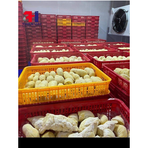 Thi công, lắp đặt kho cấp đông dự trữ Sầu riêng tại Huyện Ea Kar