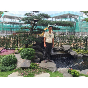 Thi công sân vườn mẫu SV27