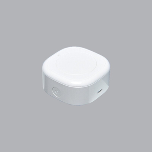 Thiết Bị Gateway Chuyển Đổi Wifi Sang Bluetooth