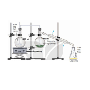 Thiết bị tách tinh dầu sả chanh bằng phương pháp lôi cuốn hơi nước (phù hợp phòng thí nghiệm trường học vv..) 1000 ml x 2 bình